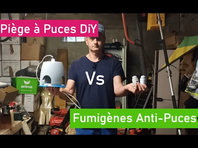 Piège à puces pour appartement, piège à puces pour la maison