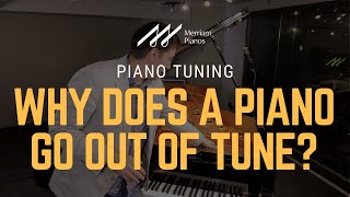 🎹Piano Tuning: How and Why Does a Piano Go Out of Tune? 🎹