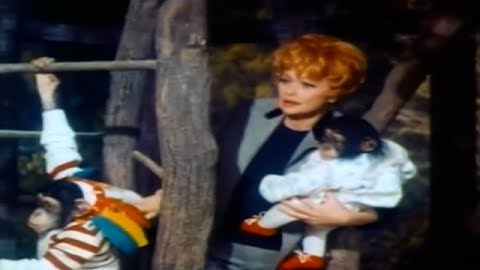 Lucy the Babysitter