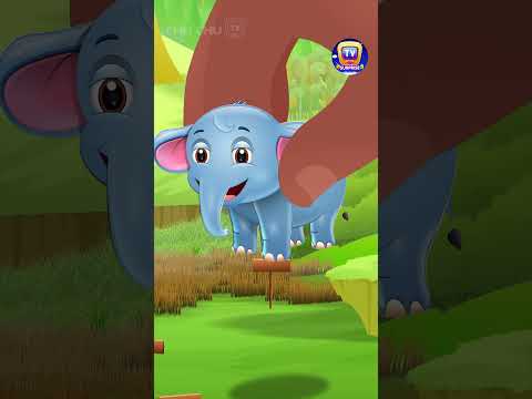 Opening the Elephant Surprise Egg #Shorts #ChuChuTV #SurpriseEggs #ChuChuTVSurprise #Animals
