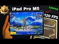 iPad Pro M5 With Ultimate Royal Highlight | Best iPad Mini For Bgmi 120 Fps | iPad Pro M1 Bgmi Test