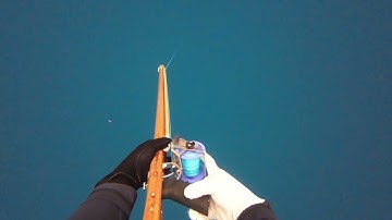 Ermes Leonardo 77 Reel on a Wahoo - Perfect