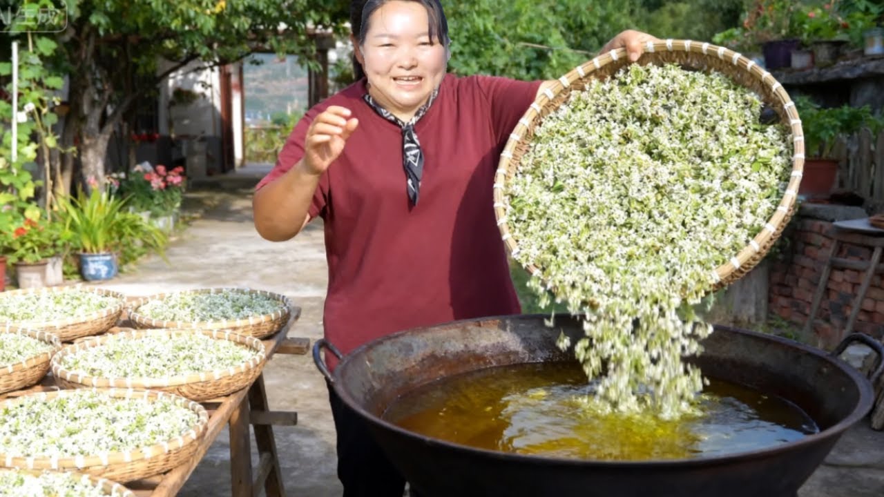 【陕北霞姐】霞姐上山摘一大筐泽蒙花，加入料油一泼，做啥都好吃！