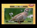 Speak Kannada Through English Lesson 06 Birds