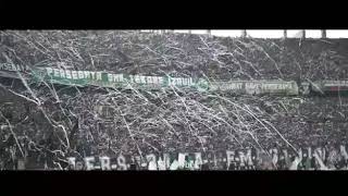 Story Wa Green Force Persebaya