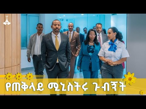 ጠቅላይ ሚኒስትር ዐቢይ አሕመድ ዶ ር በአዲስ መሶብ የአንድ ማዕከል ያደረጉት ጉብኝት ETV EBC EBCDOTSTREAM