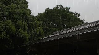 Rain&#39;s Bliss: Soothe Your Soul with Gentle Sounds of Rainfall on the Roof | 屋根に降る雨の響き：穏やかな雨音で心を癒す2時間