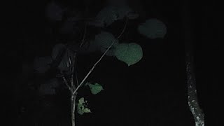 Terngiang ngiang sampe ga bisa tidur