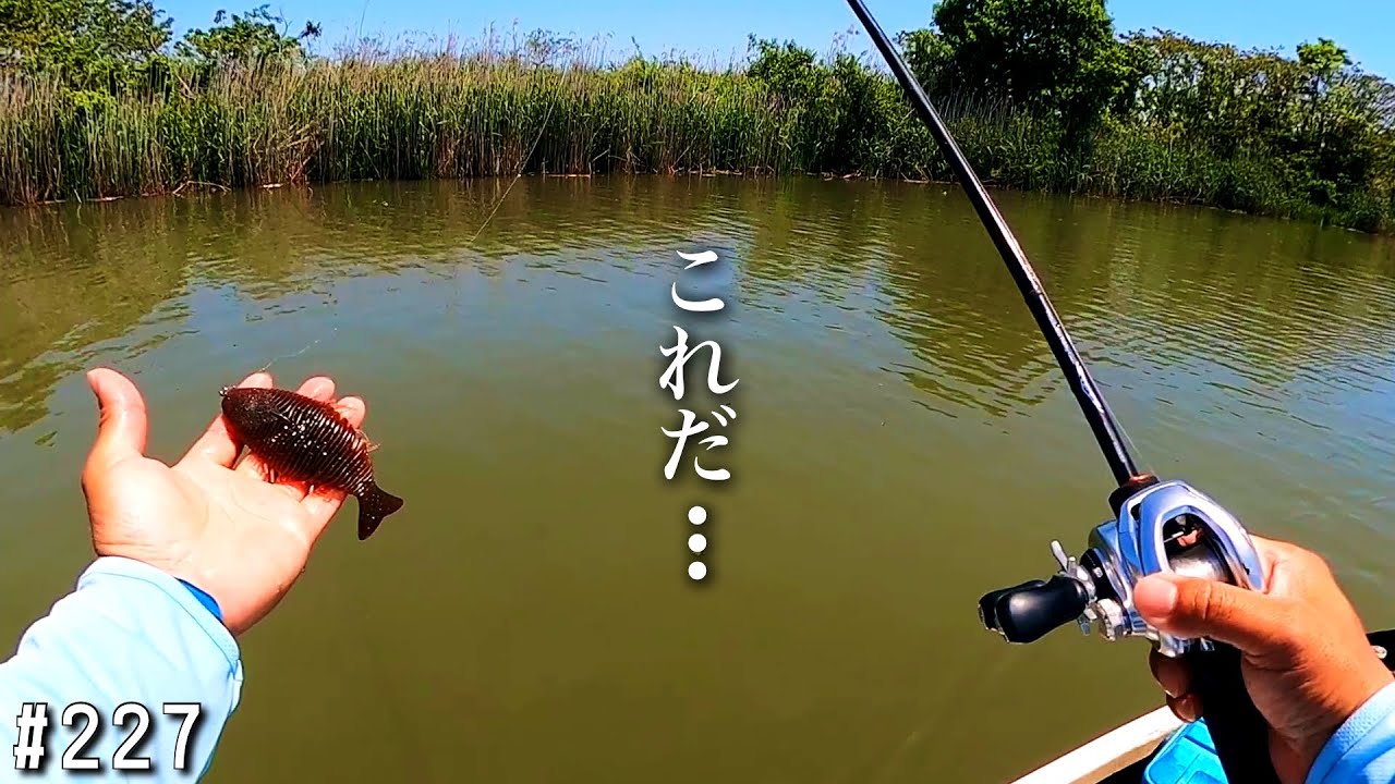 How to Target the Southern Lake West Coast, Northern Lake Miami