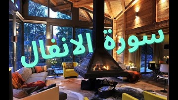 🌴سورة الانفال ,تلاوة اكثر من رائعة ,هدوء ,راحة نفسية ,خشوع ,QURAN , شفاء لما في الصدور.