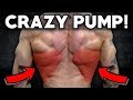 Insane Back & Bicep Workout (Crazy Pump!)