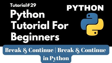 Break & Continue | Break & Continue in Python | Python Tutorials For Beginners In Hindi #29