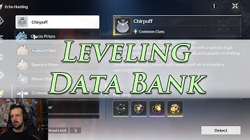 Raise Data Bank Level - Wuthering Waves