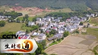 《生财有道》 夏日经济系列：走进江西宜丰 20180713 | CCTV财经