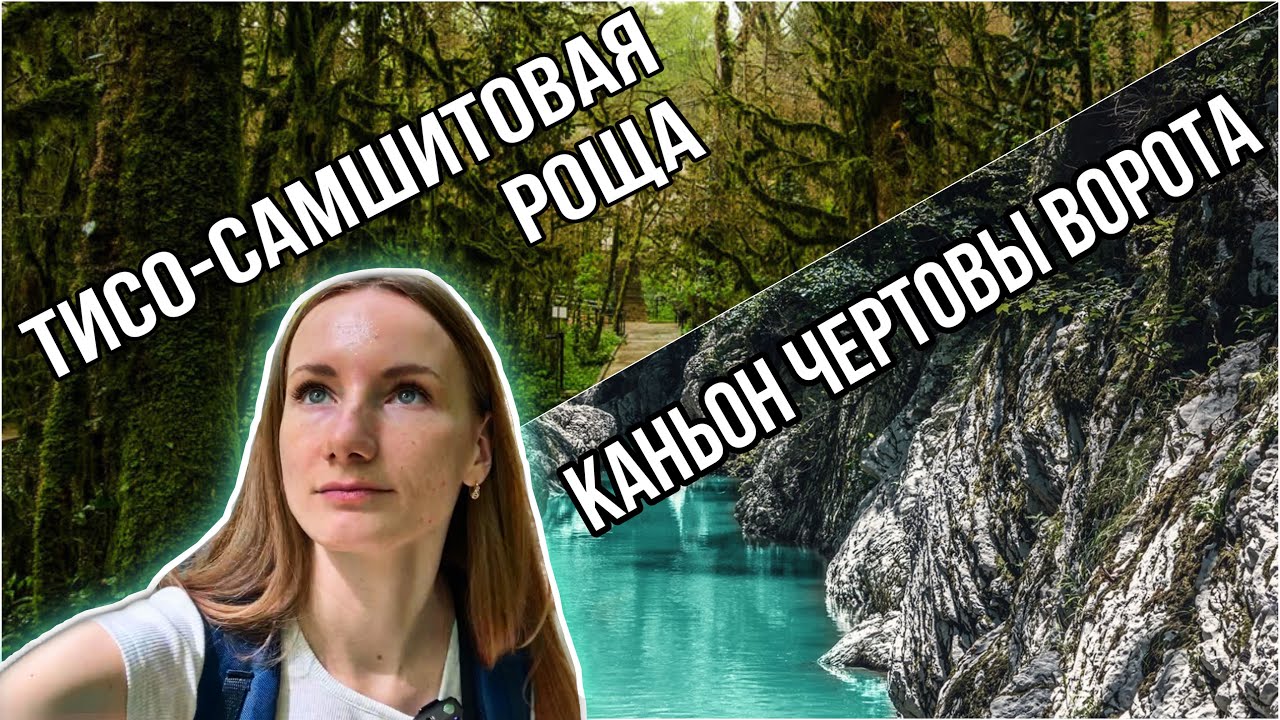 Тисо-Самшитовая роща Сочи Как добраться Цена Маршрут Отзывы 2022