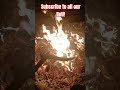 A BullHorn Stick & Burnt Speakers #fire #firesigns #aimusictown #campfire #festival #edmfestival