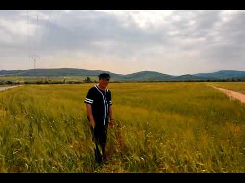 عمر الحفصوني يا قلبي يا مهموم