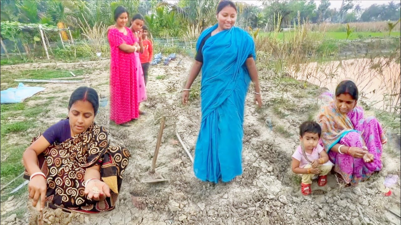 আজ আমাদের বাগানে সব শীতের সব্জী তুলে গরমের সব্জী লাগিয়ে দিলাম