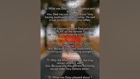 Class 5 English Lesson 7 Remote Control Kid Part 03