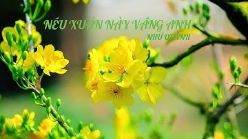 Như Quỳnh - Nếu xuân này vắng anh (Sáng tác: Bảo Thu) | Nhạc Bolero hay về tình yêu đôi lứa