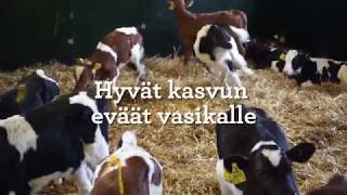 Hyvät Kasvun Eväät Vasikalle