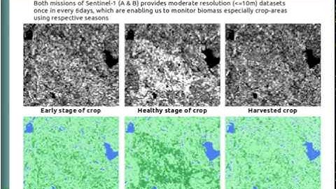 Sentinel 1 SAR data for vegetation monitoring