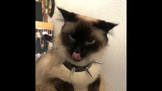 Kari0N - Who 4M I? Demo Ep