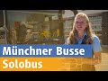 Münchens Busse: Das ist der Solobus