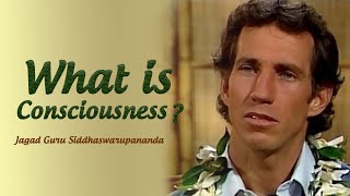 What Is Consciousness? What Is Life? Jagad Guru: Science of Identity Foundation