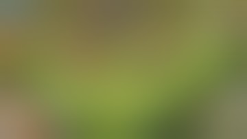 playing clash of clans hack mod unlimited gems and gold elixir dark elixir need to download comment