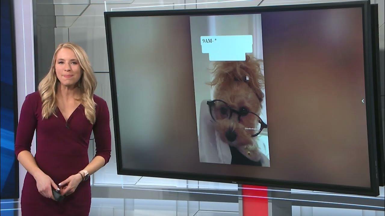 Exclusive Interview with Noodles the Pooch YouTube