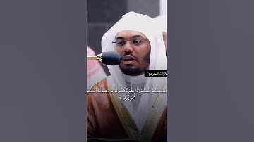 الشيخ ياسر الدوسري #قران_كريم #قرآن #اكسبلور #سورة #لايك #ياسر_الدوسري #الدوسرى