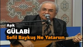 Aşık Gülabi - Sefil Baykuş Ne Yatarsın Burada #aşıkgülabi #sefilbaykuş