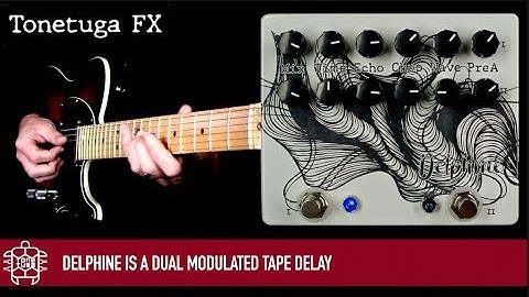 Tonetuga FX Delphine Delay