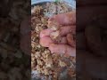 #day3#food