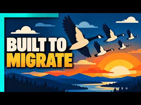How Do Birds Know to Migrate?