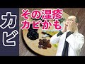 カビの湿疹の特徴と対策