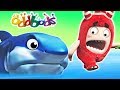 Oddbods | BABY SHARK | Funny Cartoons For Children | Oddbods & Friends