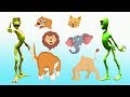 Animals name and sound - sound animals farm and wild - The animal sound song part 72