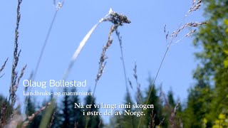 Norges billigste klimatiltak? @YaraInternationalASA