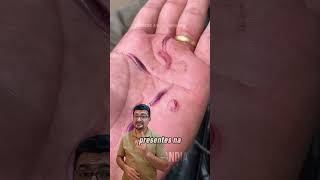 Carandiru, o peixe vampiro do Amazonas