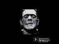 Frankenstein o el moderno Prometeo de Mary Shelley Volumen 2 capítulos 13, 14, 15.