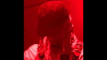 New playboicarti snippet rover wholelottared