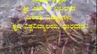 Method of composting sugarcane residue Kannada BAIF Karnataka