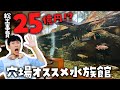 湖のほとりに25億円かけて作られた水族館！島根県立宍道湖自然館ゴビウスを徹底解説ツアー🐟