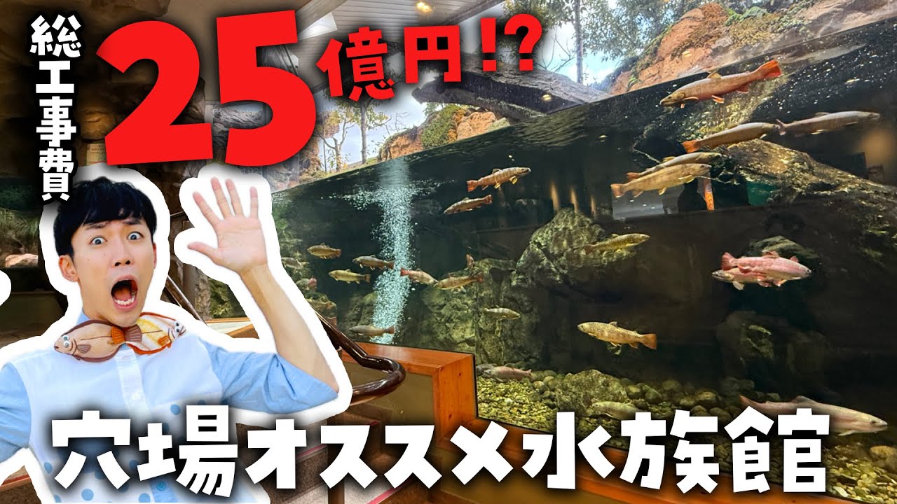 湖のほとりに25億円かけて作られた水族館！島根県立宍道湖自然館ゴビウスを徹底解説ツアー🐟