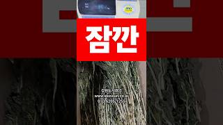 #시래기삶기 물을 끓여서 그물에 삶아야 물렁해져요. 식힐 때 자연냉각 후 여러번 씻어 주세요