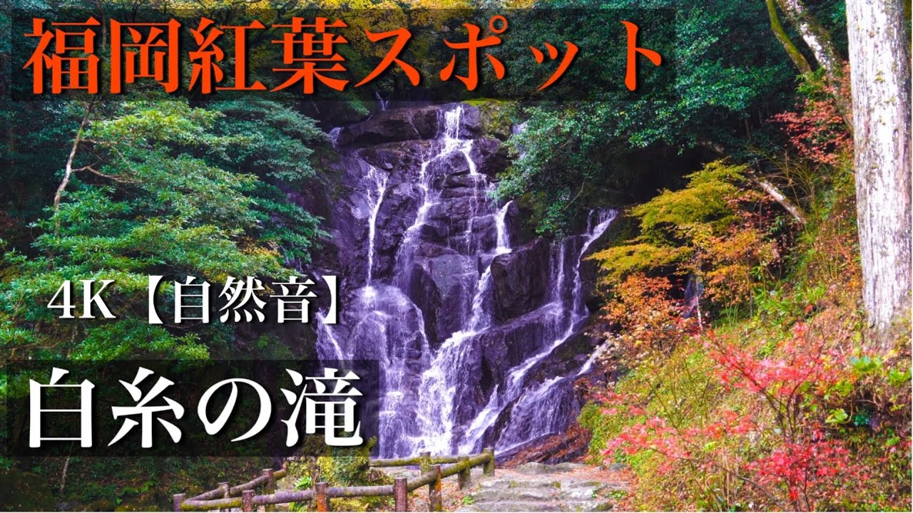 自然音 福岡紅葉スポット 糸島 白糸の滝 4k Sony iii 雨と滝の音 雷山千如寺とセットで行くとよいスポット Youtube
