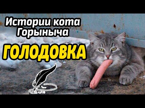 Голодовка