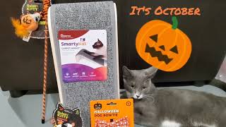 Warning found a toxic toy October cat toy by Quirky Kitty Dangerous please watch & test their toys by RealReviews YS 60 views 3 years ago 21 minutes